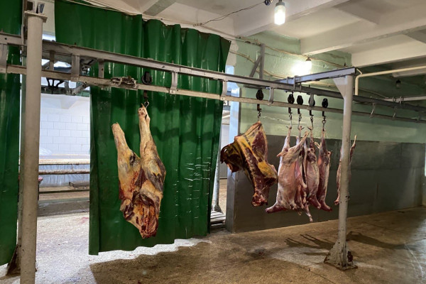 Продажа мясоперерабатывающего производства в Одесской области